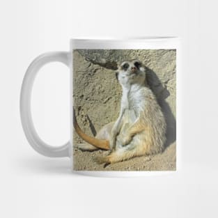 Meerkat 073 Mug